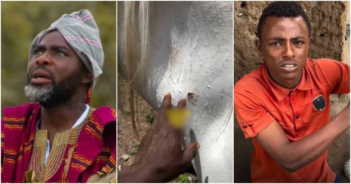 Actor, Ibrahim Chatta to arrest staff for injuring his horse