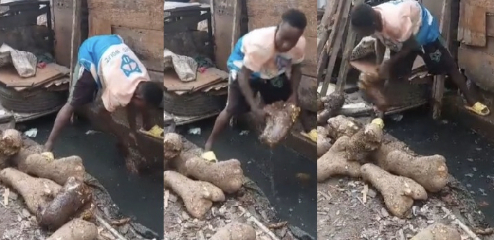 (Watch Video) Yam seller caught “Preserving” his products inside a gutter in Lagos