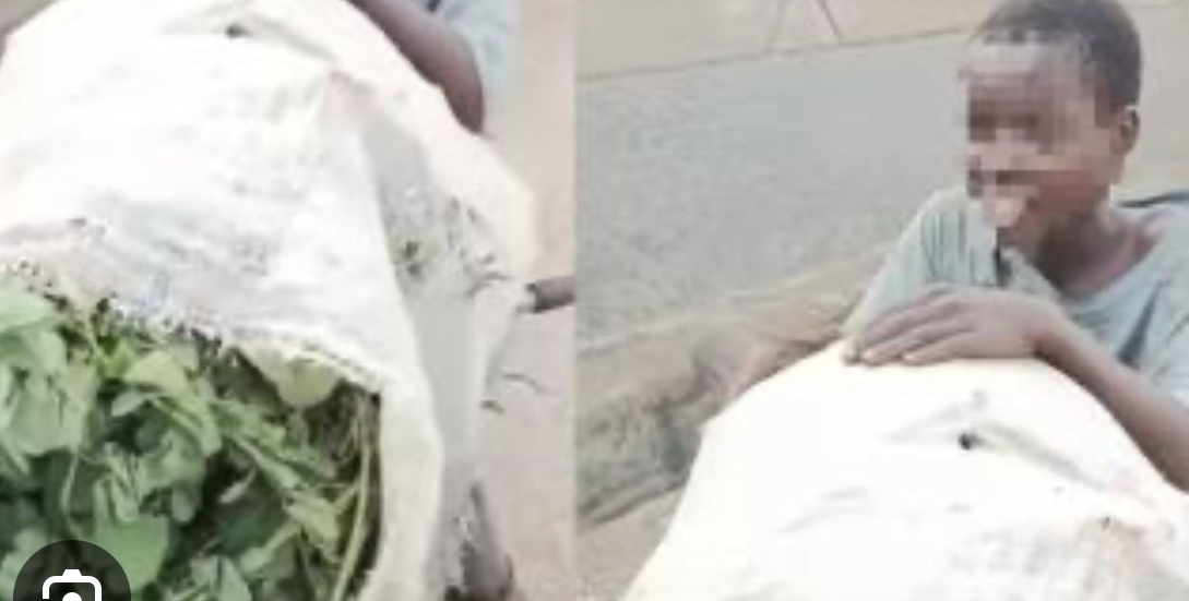 Shocking Moment Boy Reveals Family Eat Grass To Survive Hardship (Watch Video)