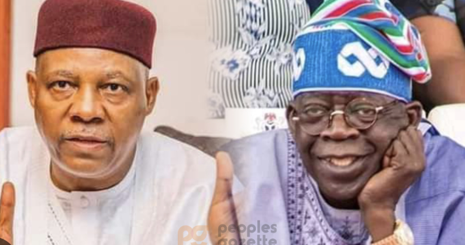 Shettima discloses number of wristwatch Tinubu brought to Aso-Rock