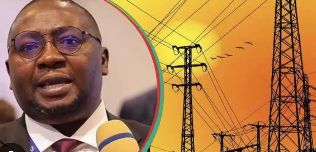 Reasons 40% of Nigerians now enjoy 20-hour daily electricity supply — Power Minister