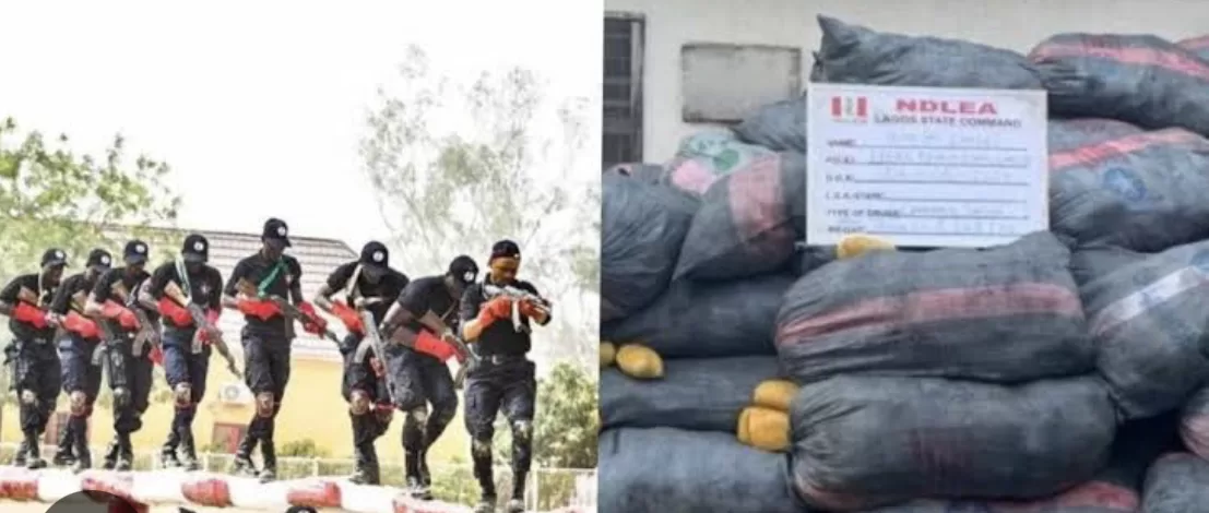 Nephew To Ex-Presidential Candidate, Nabbed In Alleged Multi-Billion Naira Drugs Supply