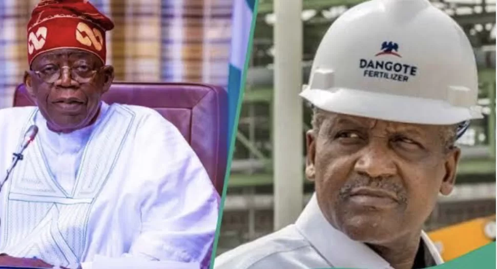 My view on Petrol subsidy— Dangote