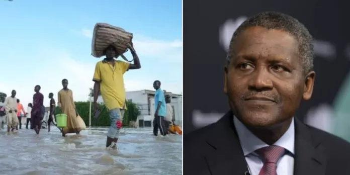 Dangote Donates Eye-Popping Amount To Maiduguri Flood Victims