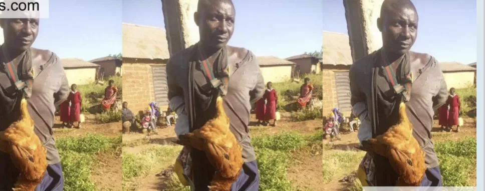 Thief Apprehended, Tied To Electric Pole With Stolen Chicken Around His Neck