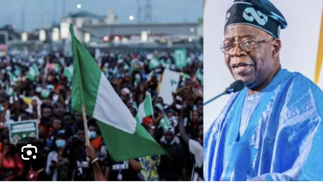 Tinubu sacks top university VC, governing council