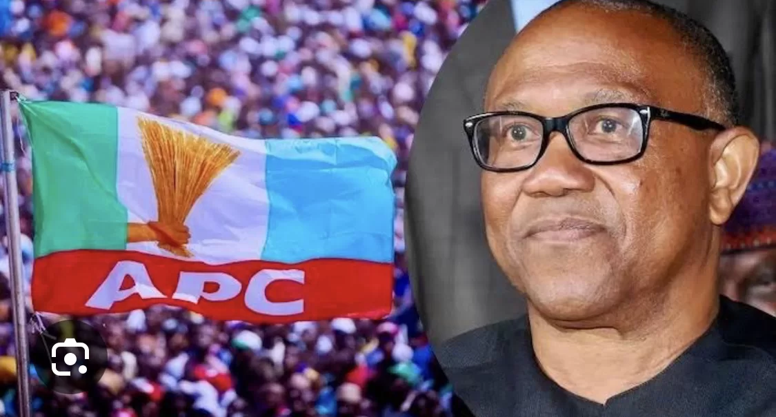 APC Government Dangerous Than Yahoo Boys — Peter Obi